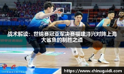 战术解读：世锦赛冠亚军决赛福建浔兴对阵上海大鲨鱼的制胜之道