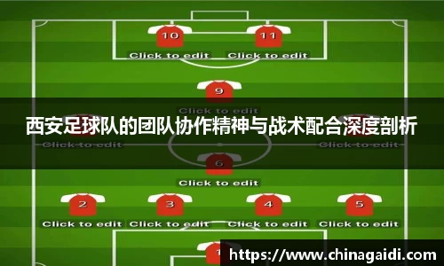 西安足球队的团队协作精神与战术配合深度剖析
